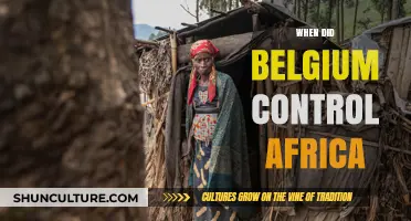 Belgium's Colonial Rule in Africa: A Historical Overview