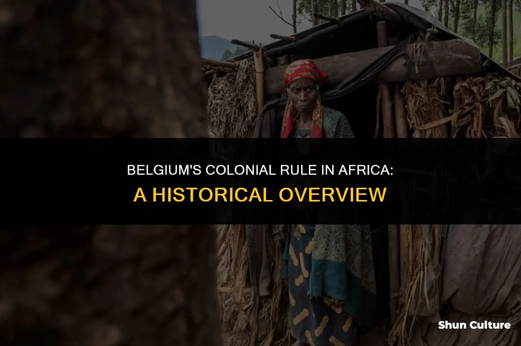 when did belgium control africa