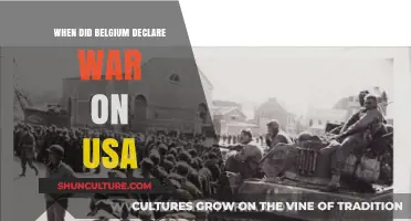 Belgium's Bold Move: A Historical Look at the Declaration of War on the USA