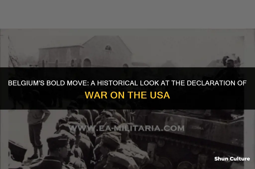 when did belgium declare war on usa
