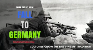 The Day Belgium Fell: A Historical Account of Germany's Swift Conquest