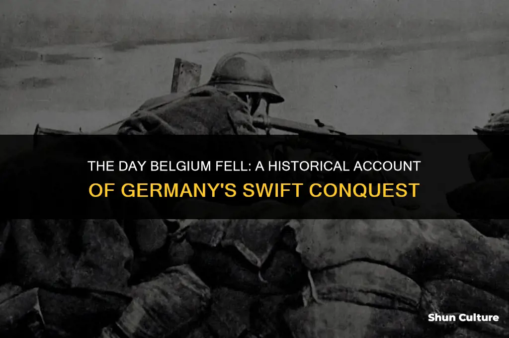when did belgium fall to germany