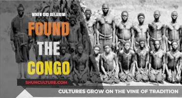 Exploring Belgium's Colonial Past: The Founding of the Congo