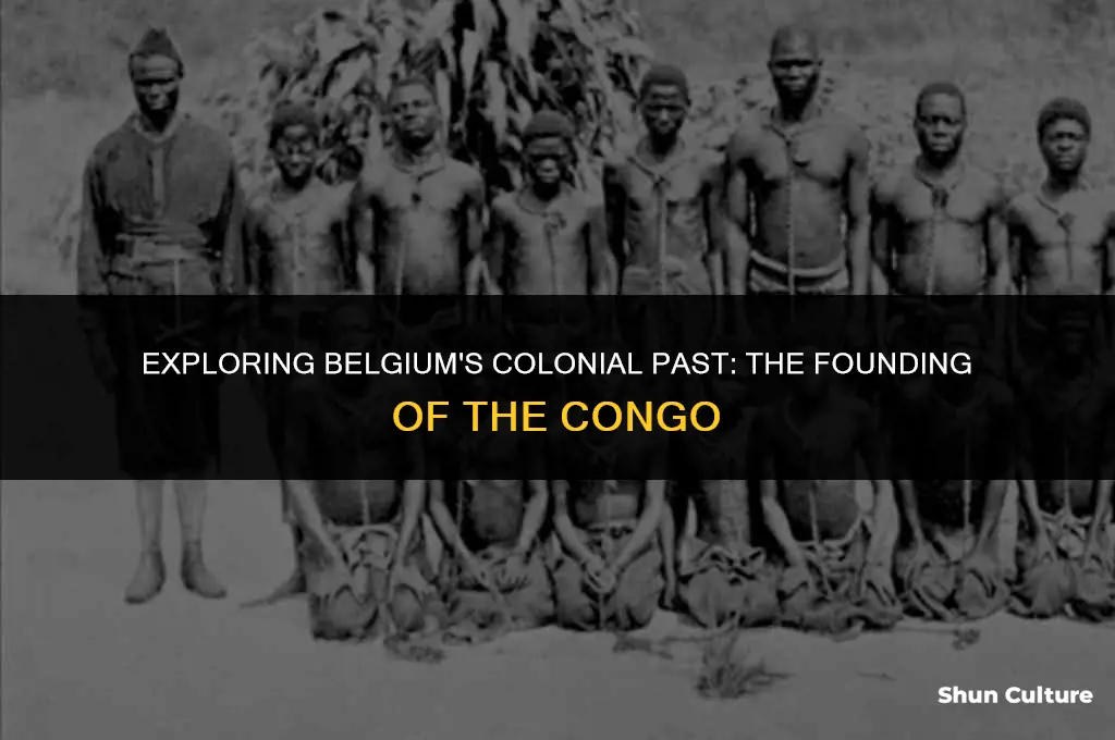 when did belgium found the congo