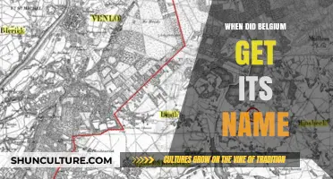 Unveiling the Origins: A Historical Journey into Belgium's Name