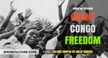 Congo's Independence: A Look Back at Belgium's Grant of Freedom