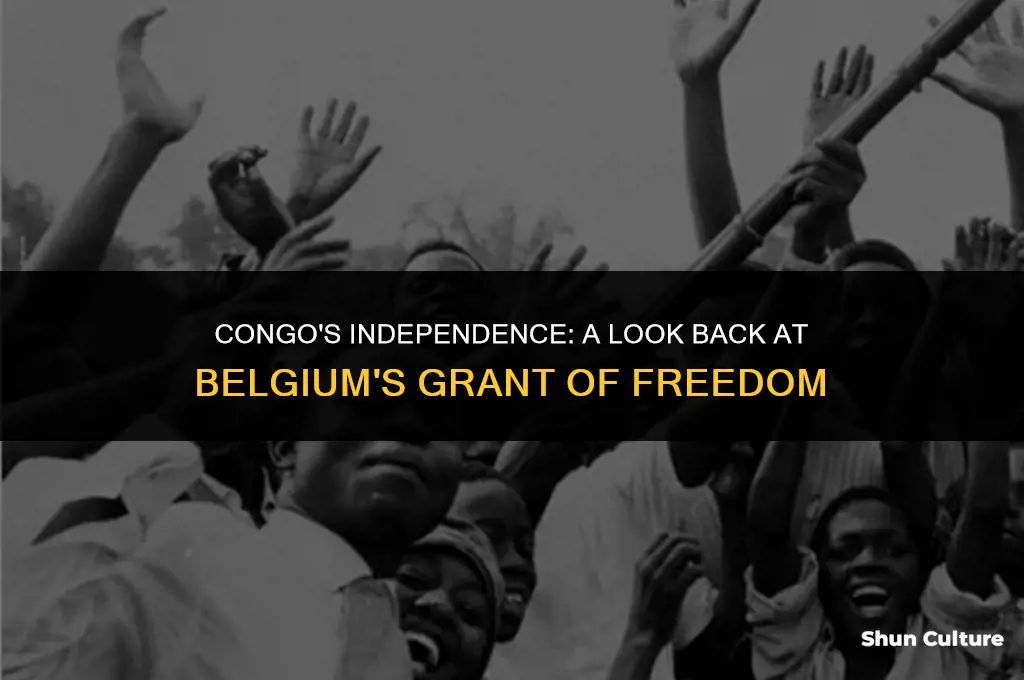 when did belgium grant congo freedom