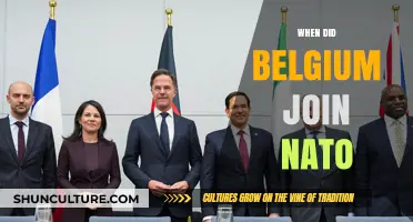 Belgium's NATO Membership: A Historical Timeline and Analysis