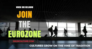 Belgium's Eurozone Entry: A Historical Economic Leap