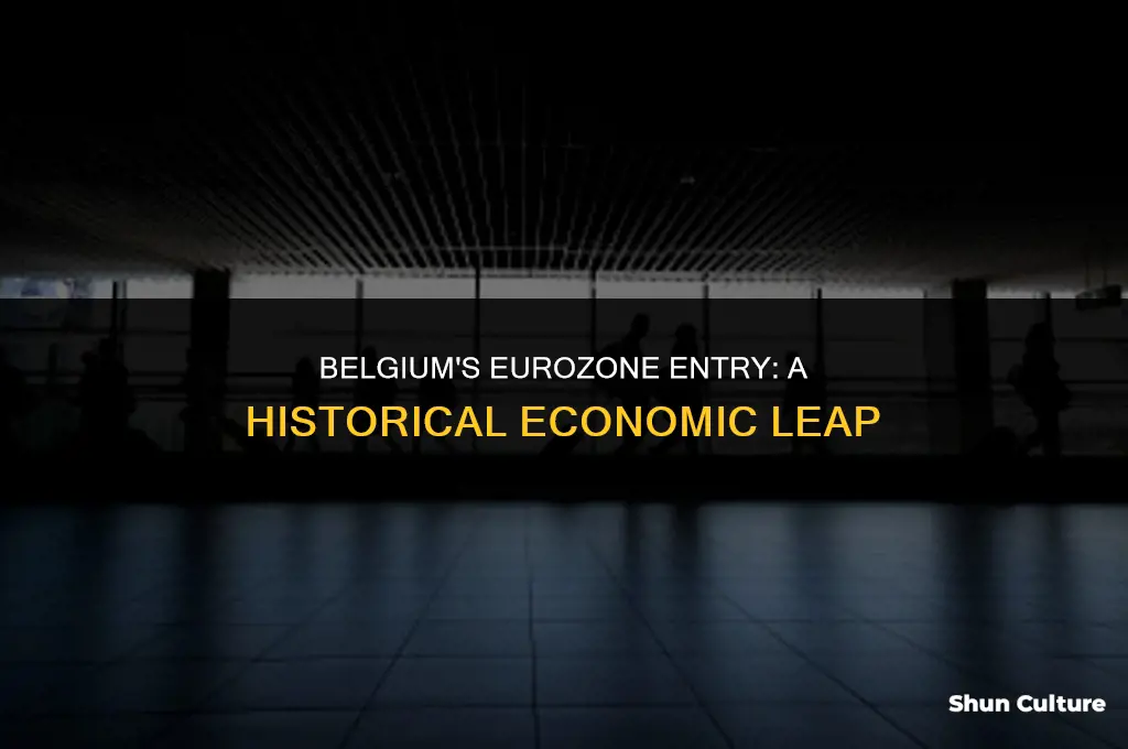 when did belgium join the eurozone