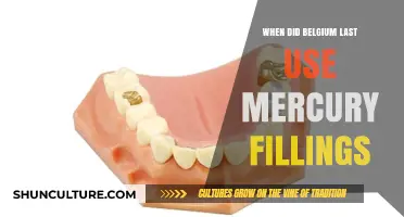 Belgium's Shift Away from Mercury Fillings: A Historical Overview