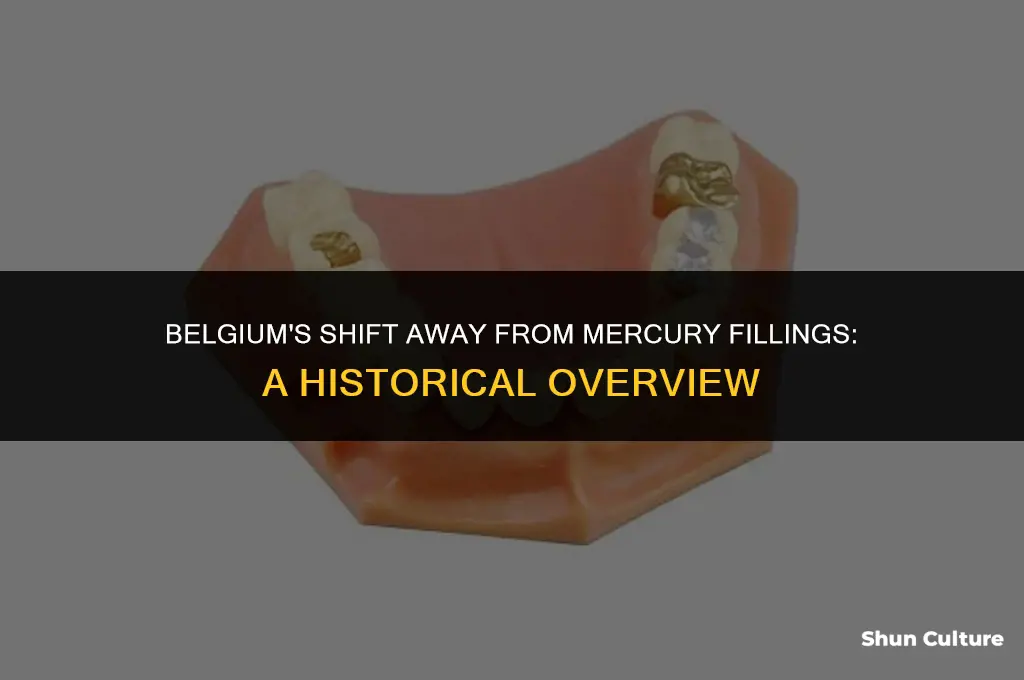 when did belgium last use mercury fillings