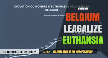 Belgium's Compassionate Choice: A Timeline of Euthanasia Legalization