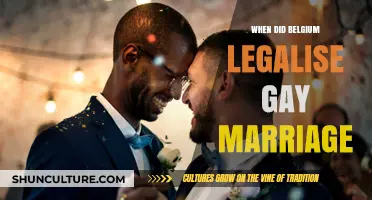 Belgium's Journey to Equality: The Day Gay Marriage Became Legal