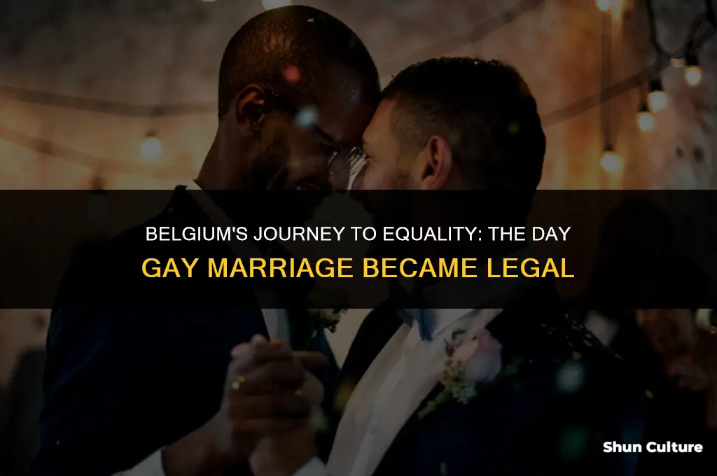 when did belgium legalise gay marriage