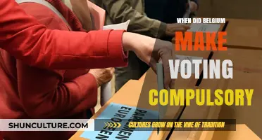 Belgium's Compulsory Voting: A Historical Perspective