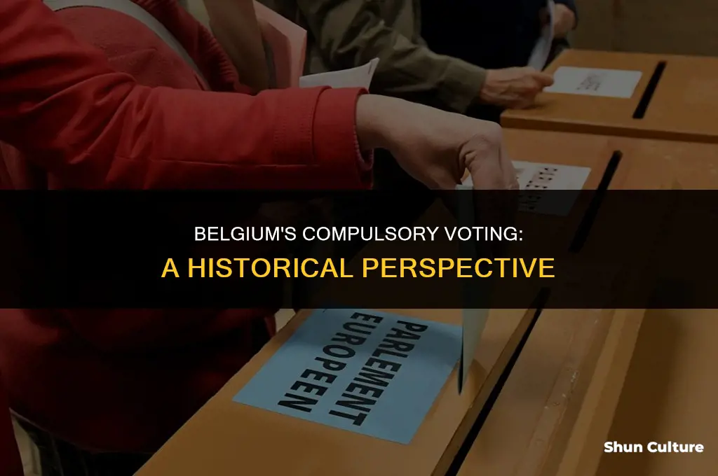 when did belgium make voting compulsory