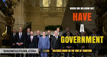 A Kingdom in Limbo: Belgium's Period Without Government