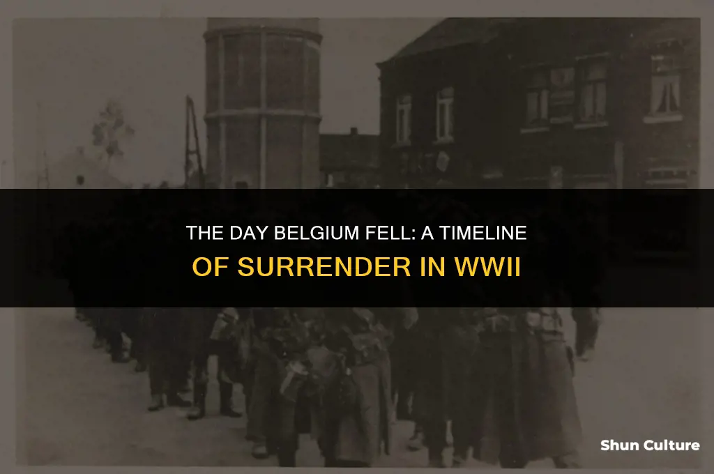 when did belgium surrender in world war 2