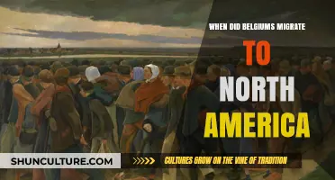 Tracing the Journey: When Belgians Migrated to North America