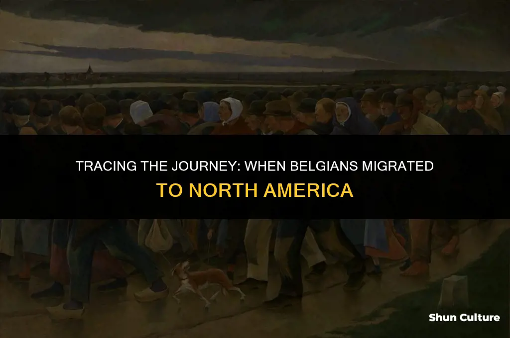 when did belgiums migrate to north america
