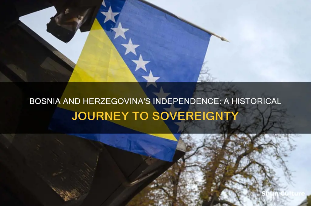 when did bosnia and herzegovina became a country