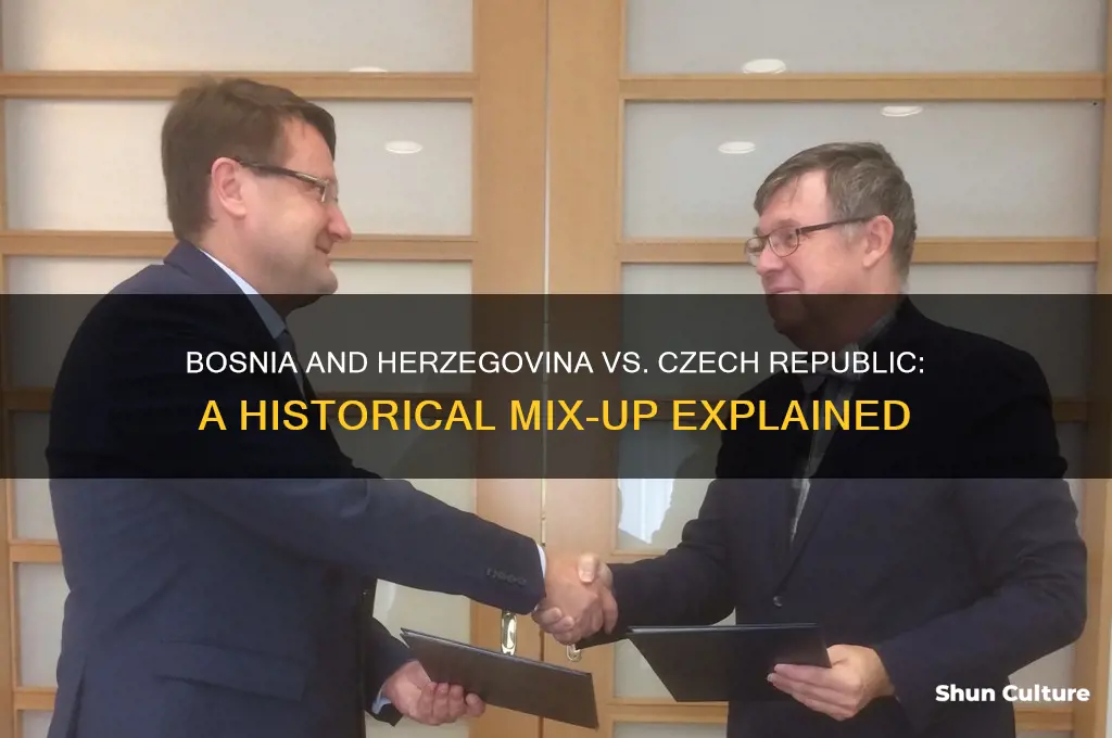 when did bosnia and herzegovina become czech republic