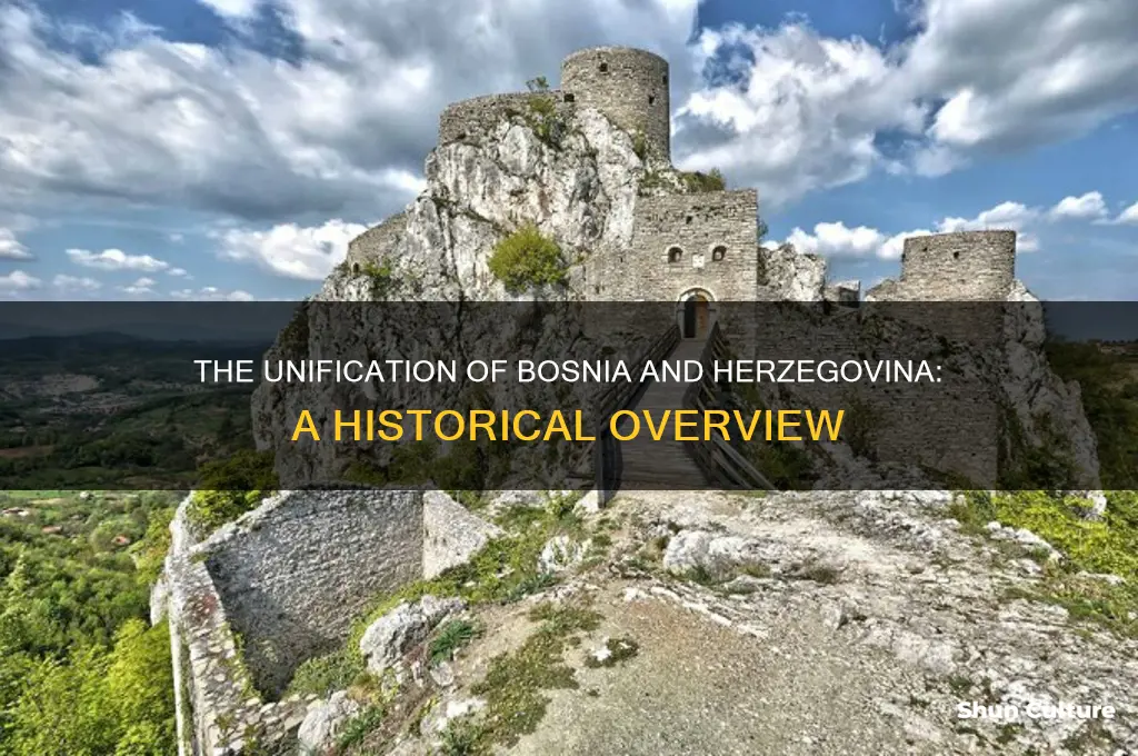 when did bosnia and herzegovina merge