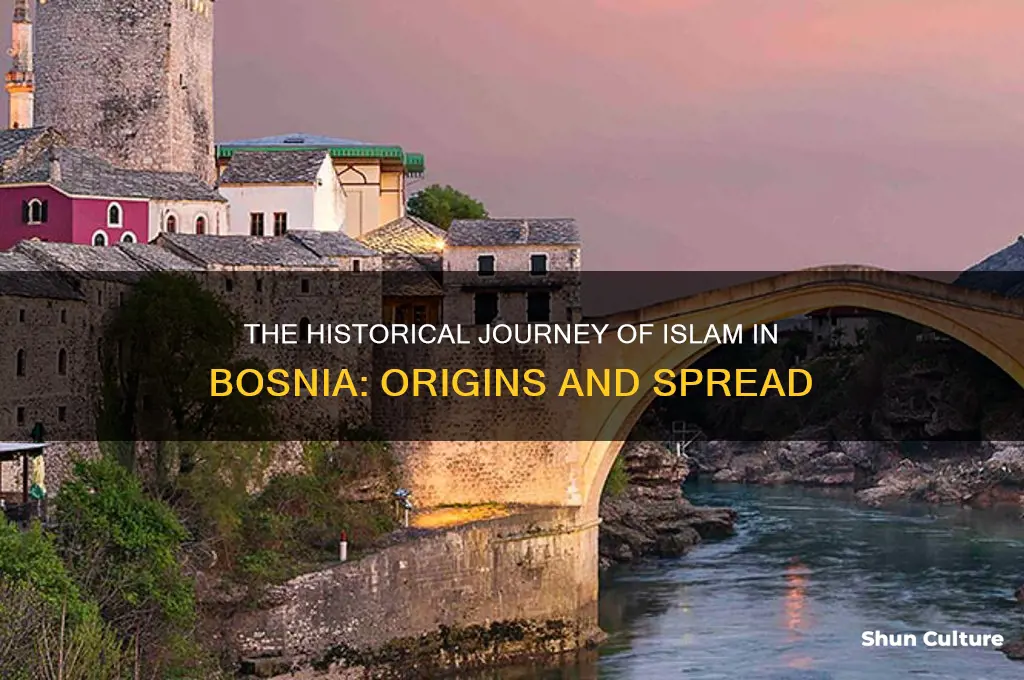 when did bosnia become muslim
