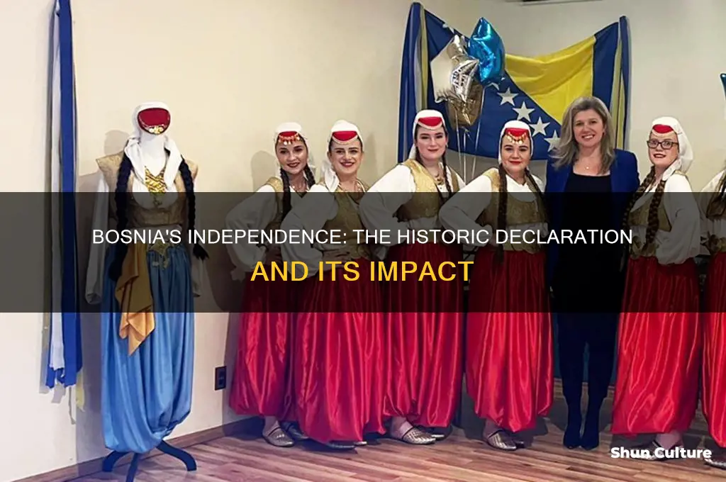 when did bosnia declare independance