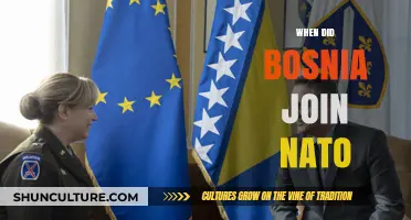 Bosnia's NATO Membership: A Historical Overview of Its Accession