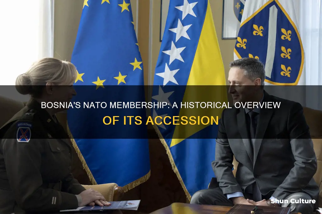 when did bosnia join nato