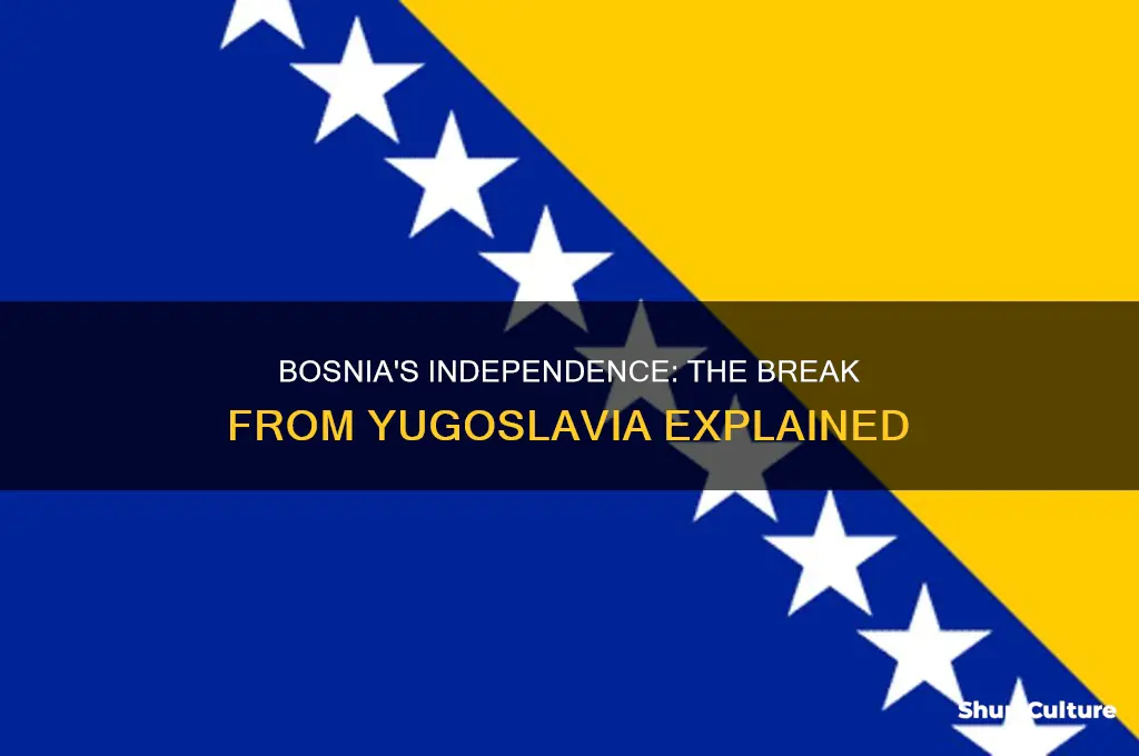 when did bosnia seceed frm yugoslavia