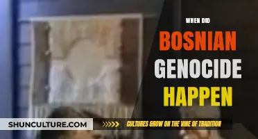 The Bosnian Genocide: Uncovering the Timeline of a Tragic History