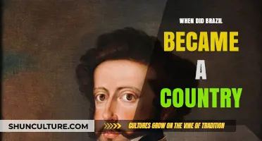 Brazil's Independence: The Journey to Becoming a Sovereign Nation