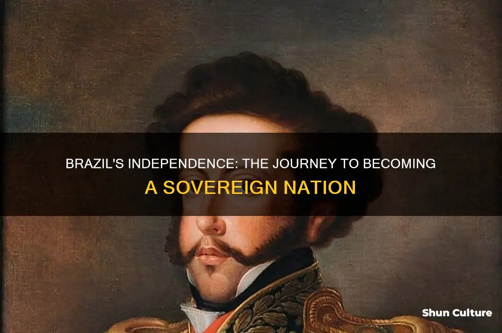 when did brazil became a country