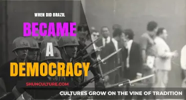Brazil's Democratic Journey: A Historical Overview of Its Transition