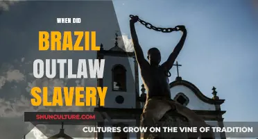 Brazil's Slavery Abolition: The Historic 1888 Golden Law Explained