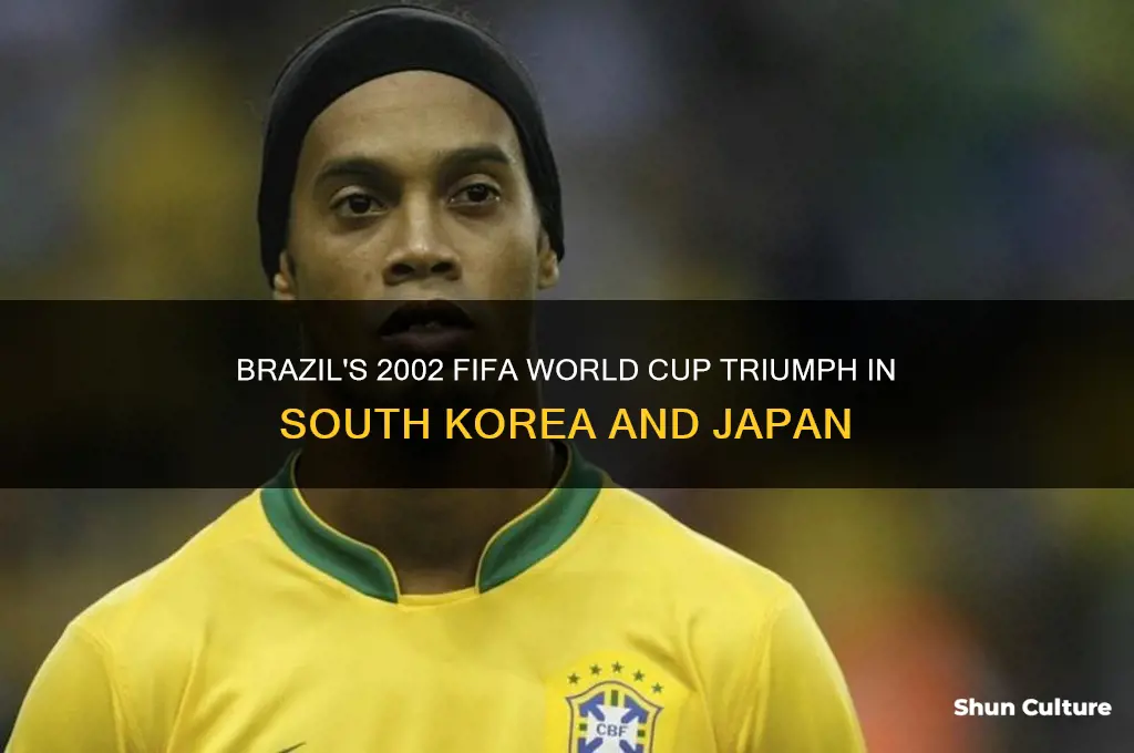 when did brazil win fifa world cup in south korea