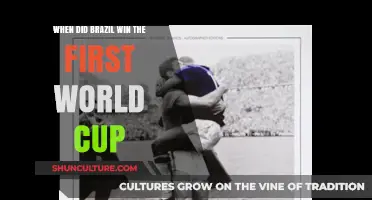 Brazil's Historic First World Cup Victory: A Journey to 1958