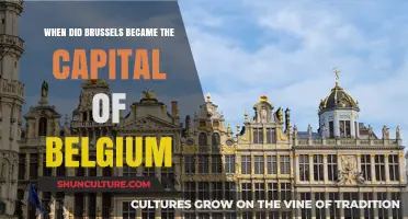 Brussels' Rise to Prominence: A Historical Journey to Belgium's Capital