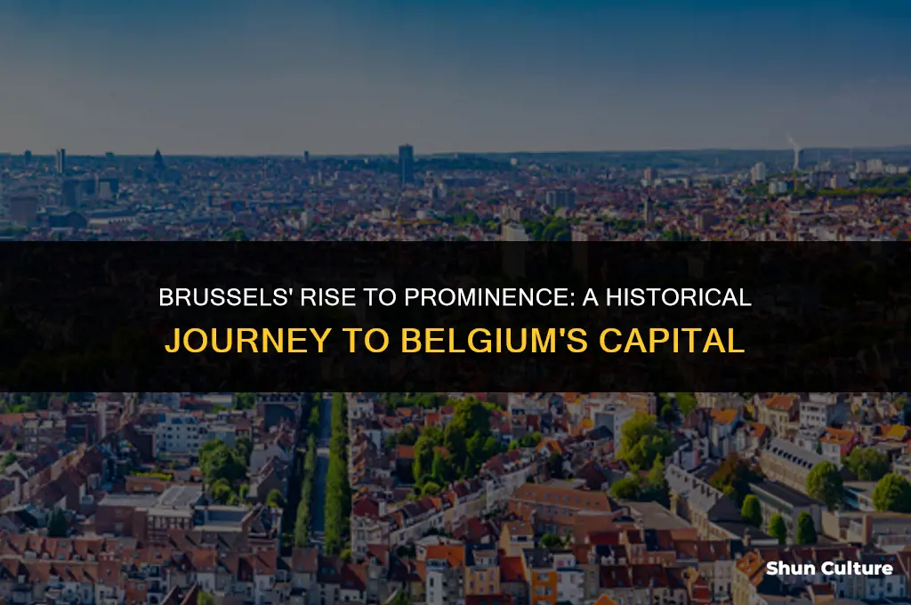 when did brussels became the capital of belgium