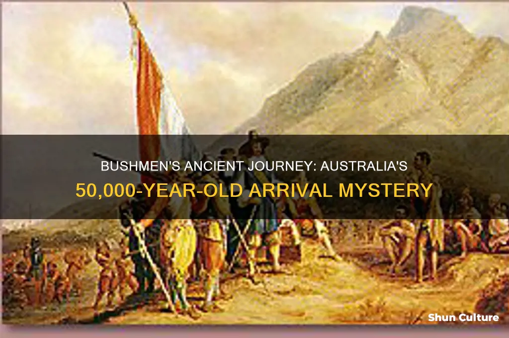 when did bushmen arrive in australia 50 000 years ago