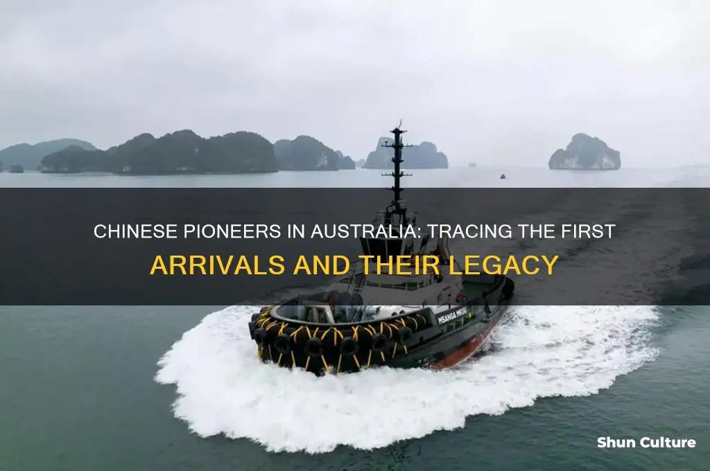 when did chinese first arrive in australia