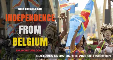 Congo's Independence: A Historical Look at the End of Belgian Rule