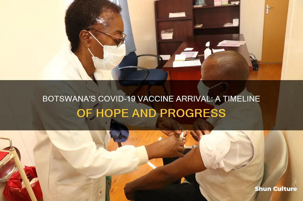 when did covid-19 vaccine arrive in botswana
