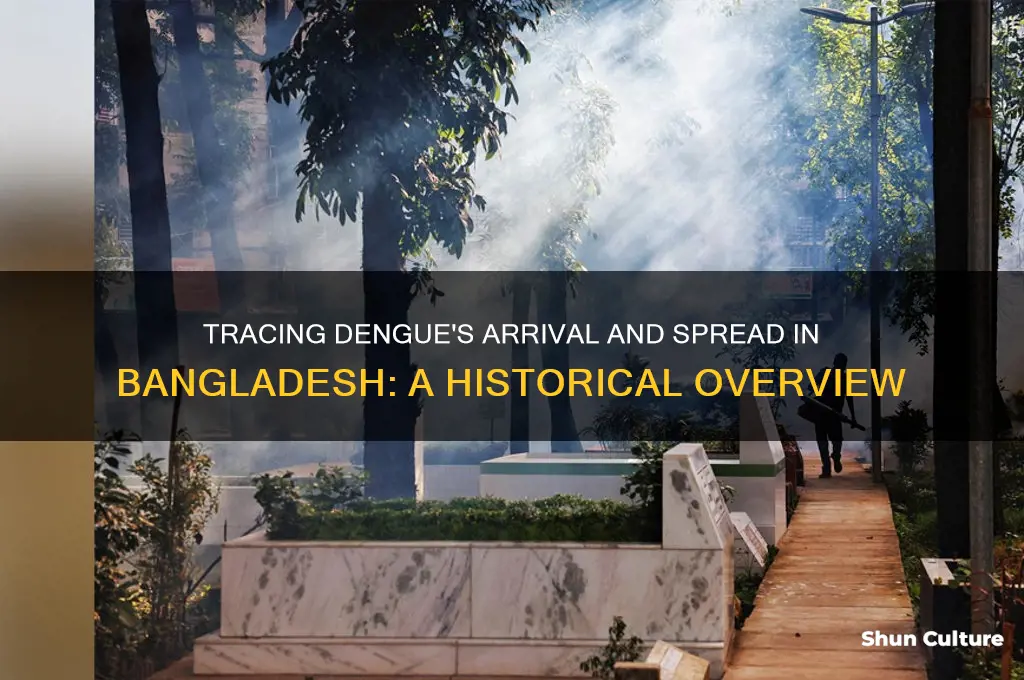when did dengue start in bangladesh
