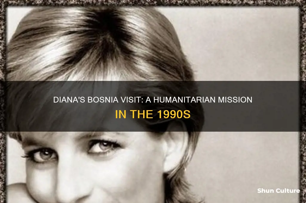 when did diana go to bosnia
