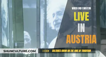 Einstein's Austrian Years: Uncovering the Early Genius