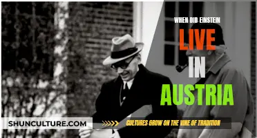 Einstein's Austrian Interlude: A Period of Productivity and Growth